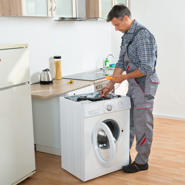 what are common issues that can arise with a washer in Canada Creek Ranch MI